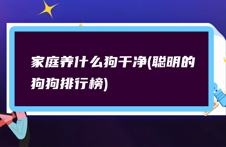 家庭养什么狗干净(聪明的狗狗排行榜)