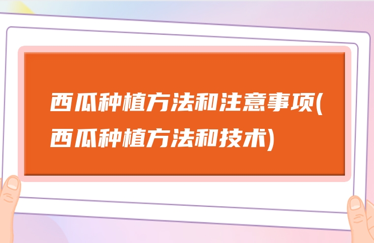 西瓜种植方法和注意事项(西瓜种植方法和技术)