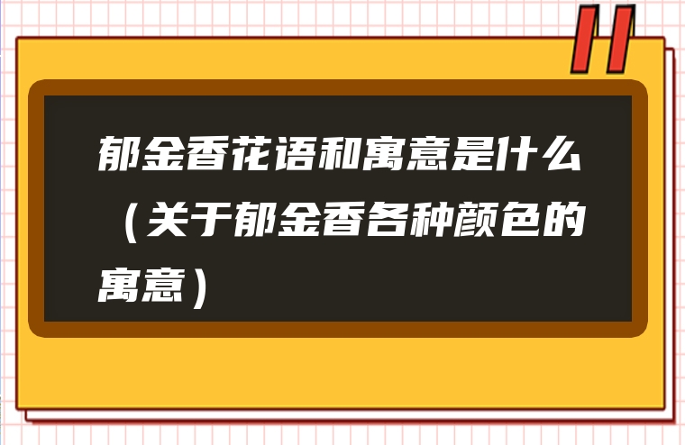 郁金香花语和寓意是什么（关于郁金香各种颜色的寓意）